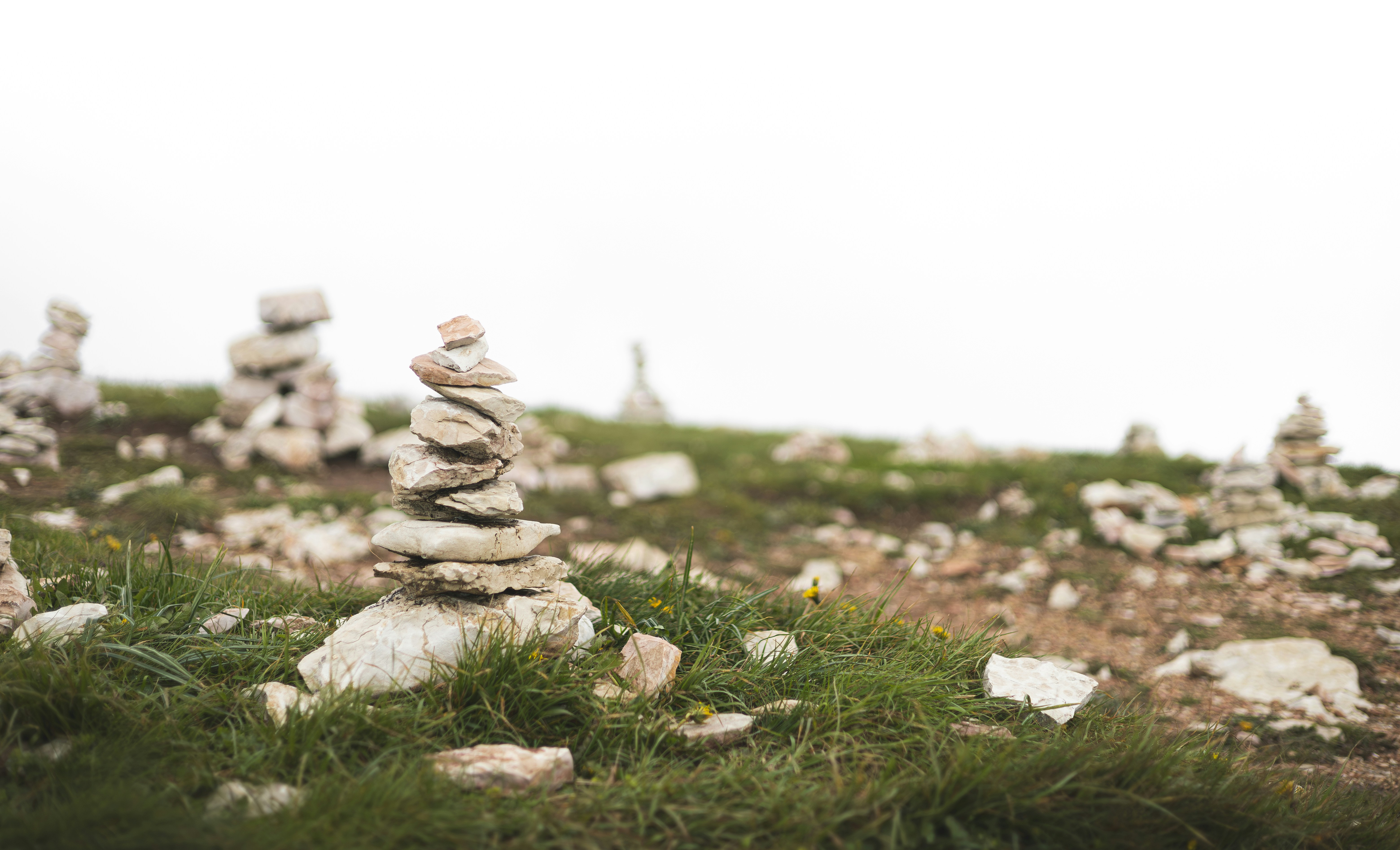 Photo by Andreas Haslinger on Unsplash